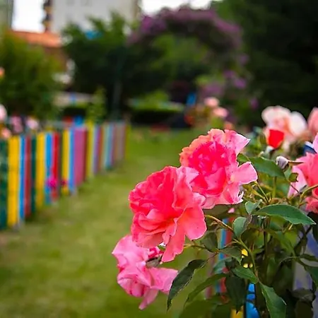 Park Perla 3* Varna